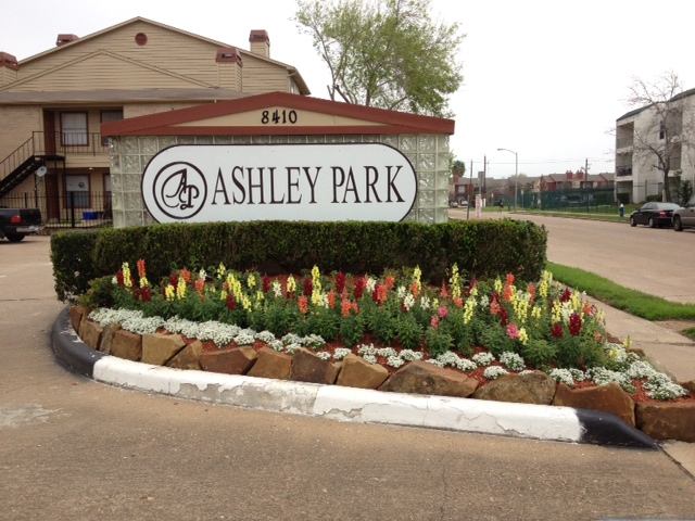 Ashley Park